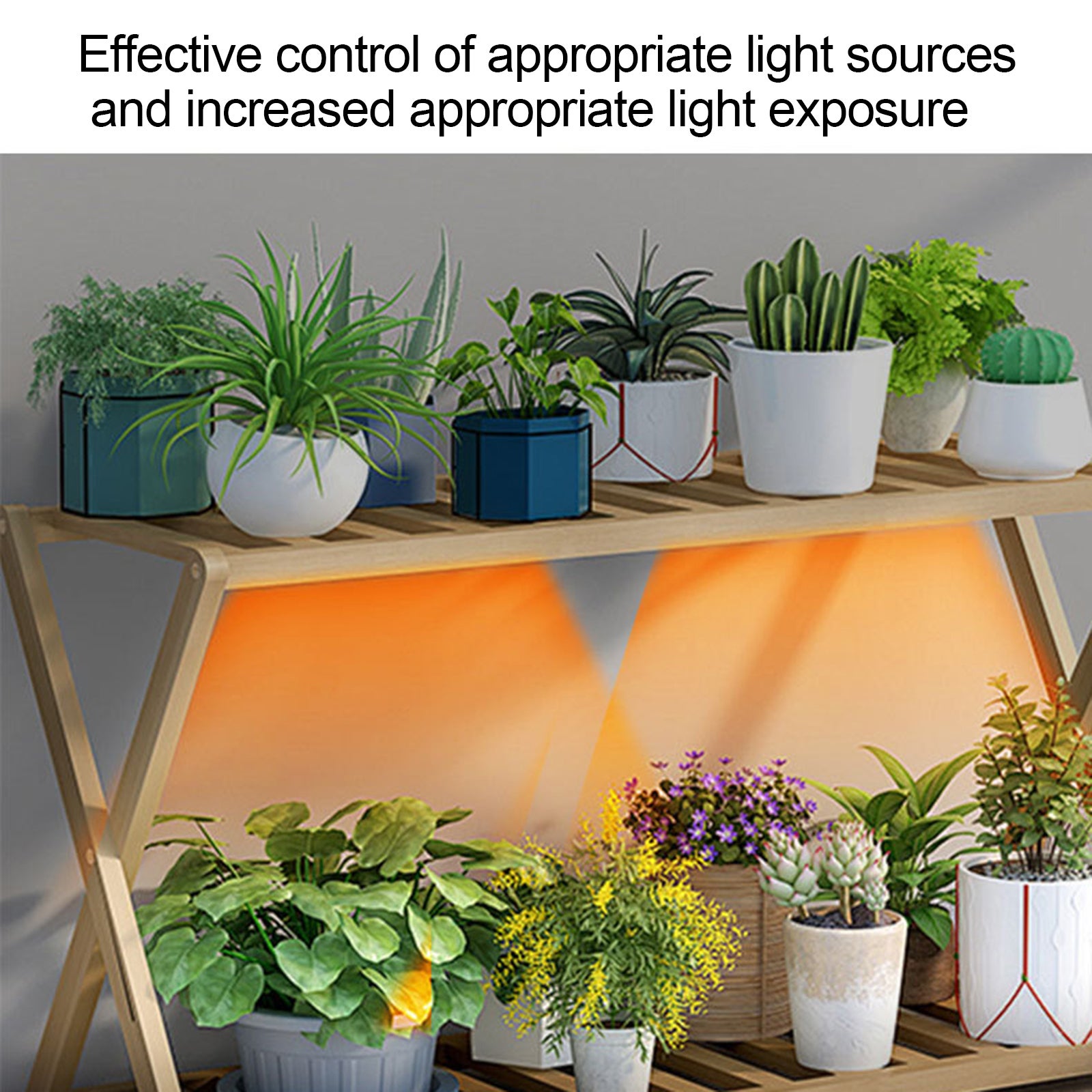 Iluminação LED planta luz de cultivo interior Quantum Board planta luz ...