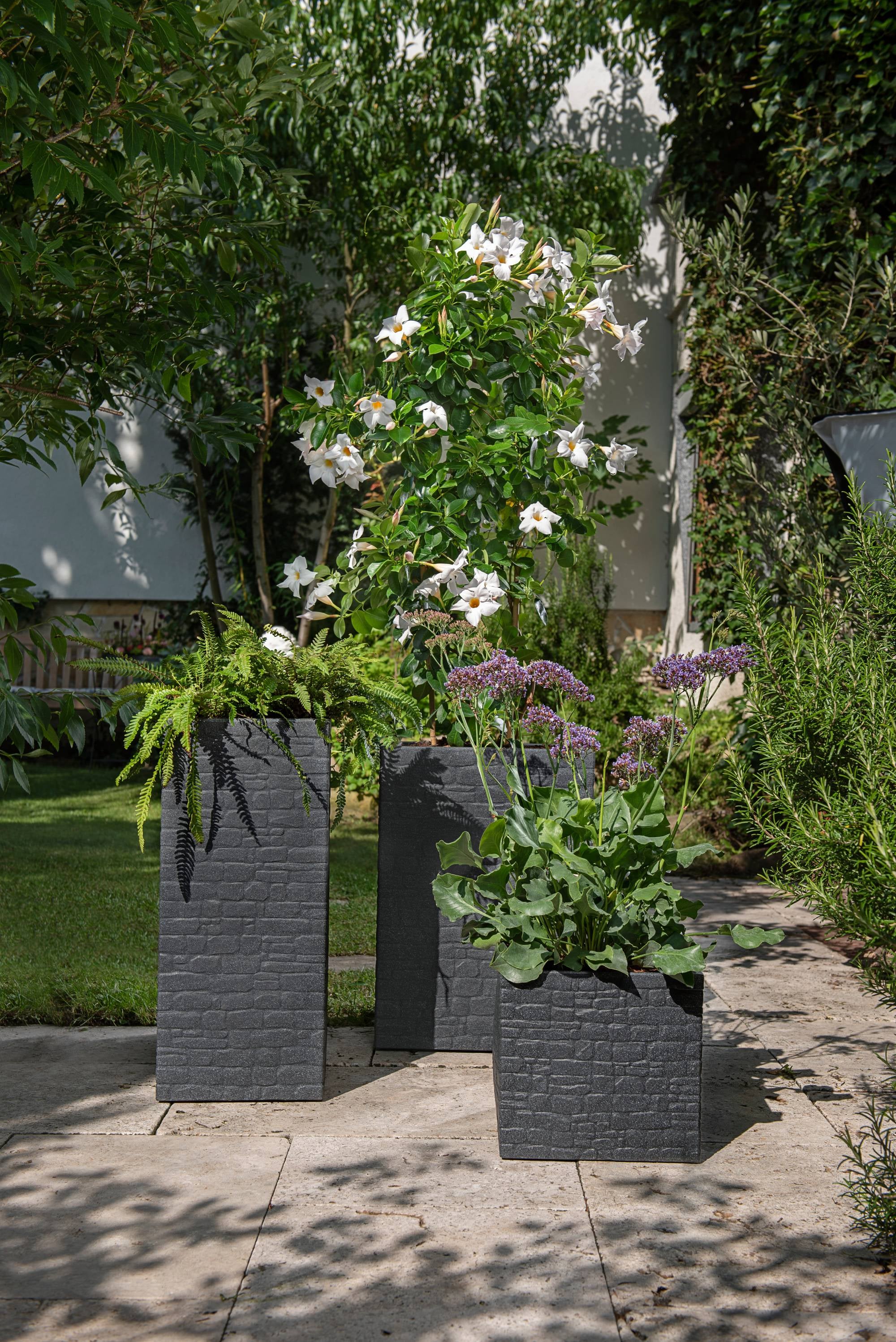 Scheurich Muretto 30, bac à plantes/pot à fleurs/jardinière, carré, coloris: Stony Black, fabriqué avec du plastique recyclé, pour l’extérieur - 3