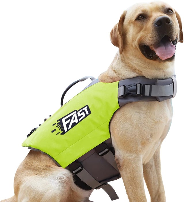 Colete salva-vidas para cães - Colete flutuante ajustável para animais de estimação - Proteção para animais de estimação em piscinas, praias e passe