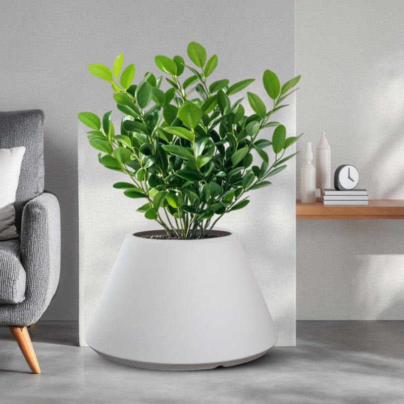 Portavaso Da Interno In Resina A Forma Di Uomo Albero – Con Foro Di Drenaggio – Apertura 14 Cm – Ideale Per Pi Grasse E Penne - 3