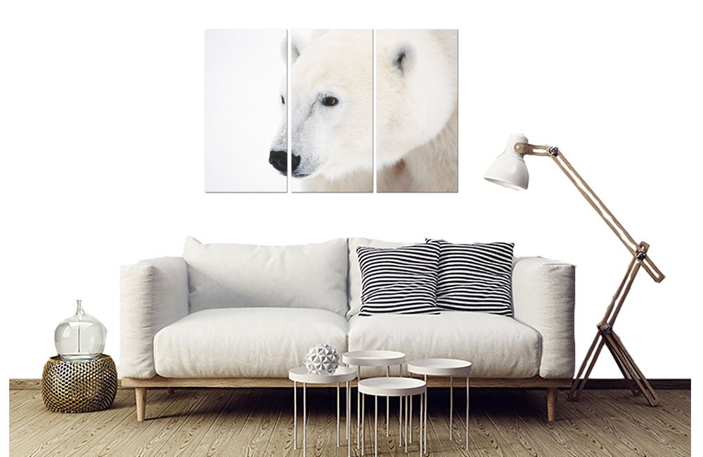 Tableau triptyque Tableau photo portrait ours polaire - 90x60 cm - 2