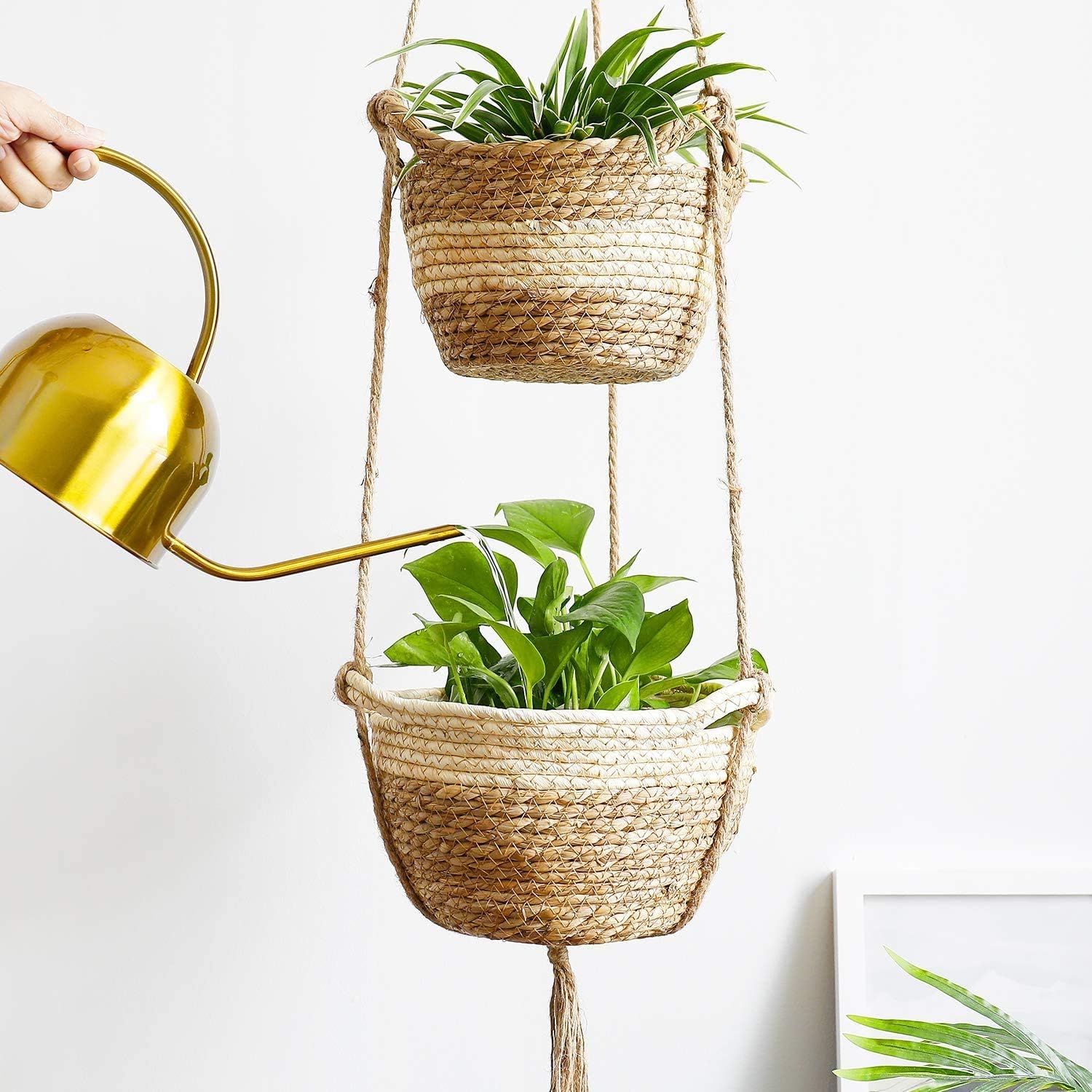 Doniczka wisząca na wodorosty, dwa rozmiary, do użytku wewnątrz i na zewnątrz, kosz z pokrywką na doniczki.