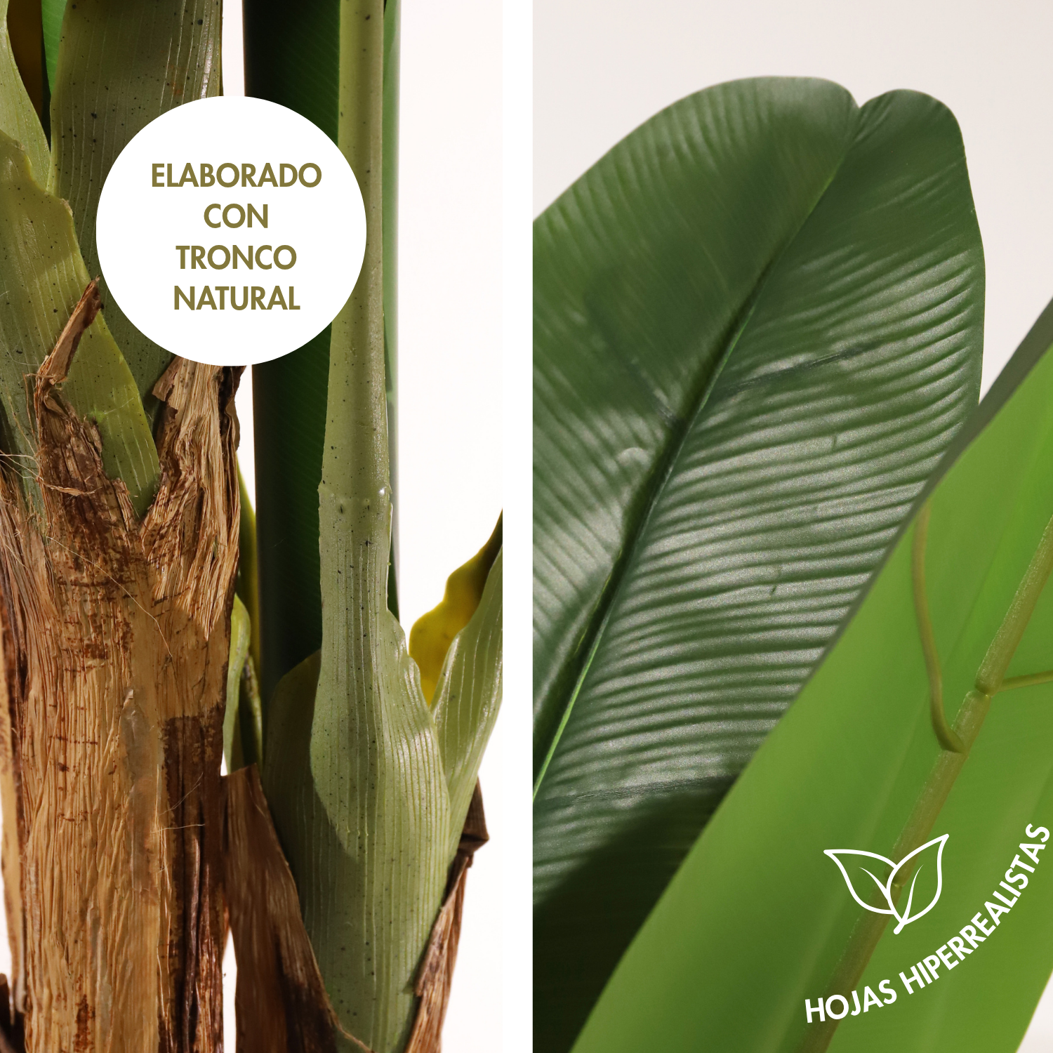Planta artificial Bananera Marrón y verde 180 cm | Naturing Monde - Para interior - Tronco natural - En maceta - 4