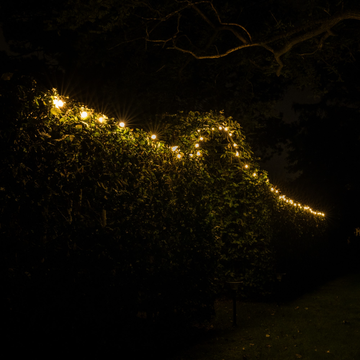 Guirlande solaire Iplux® Venice 10m - Haute qualité - Durée de combustion 15 heures - 5