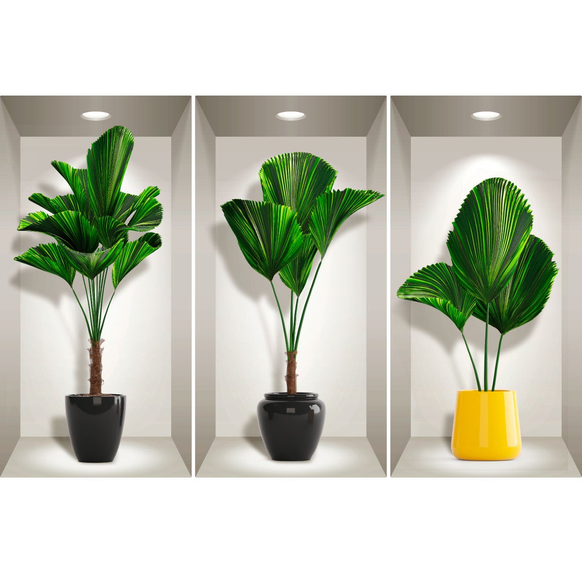 Adesivo 3D palme in vaso - Sticker adesivo - adesivi murali - 80x120cm - 4