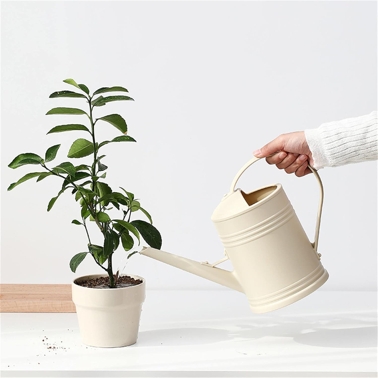 Arrosoir de jardin 2 l - Petit arrosoir pour plantes d'intérieur - Avec douchette amovible - En plastique - Pour l'intérieur et l'extérieur - Beige - 4