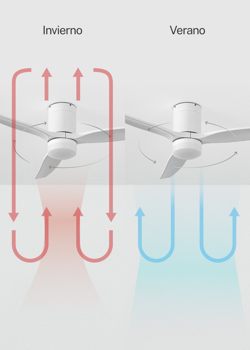 CREATE - WIND CALM M - Ventilateur de plafond silencieux 40W avec pales techniques en ABS Ø132cm avec eclaraige avec contrôleur mural - 6