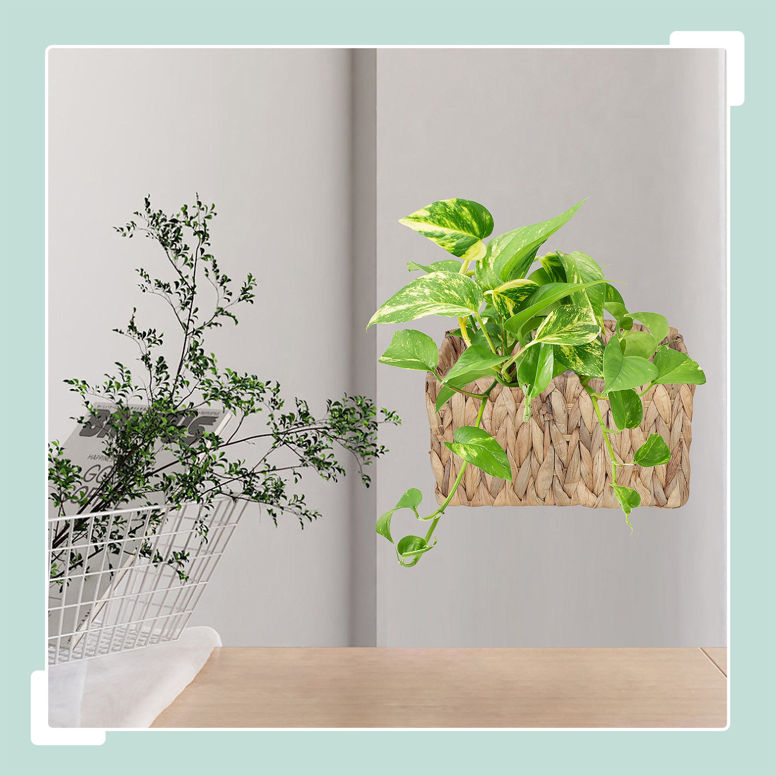 Panier suspendu tressé en jacinthe d'eau pour plantes, 29x28x15 cm, avec film et anneau, naturel, relaxdays - 3