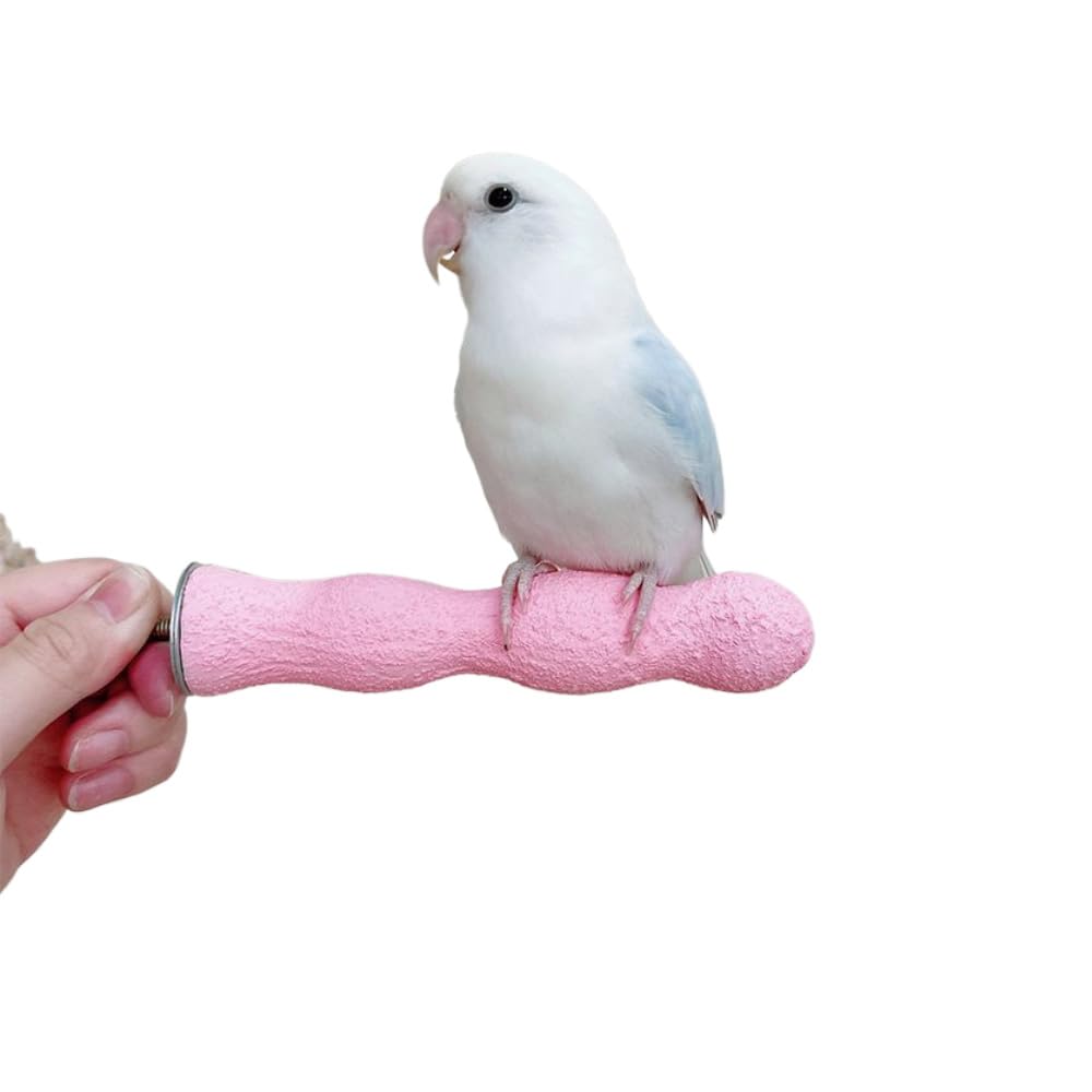 Riscaldatore Per Gabbie Uccelli KESOTO - Senza Luce, Termostato Integrato, Per Pappagallini E Piccoli Animali