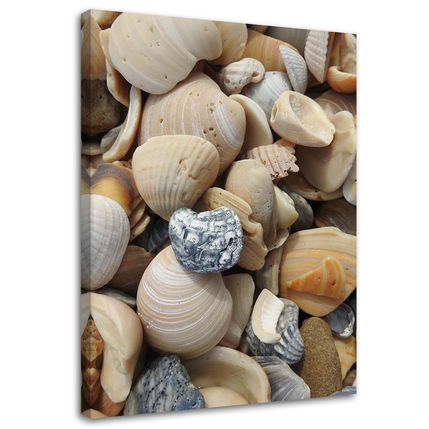 Obraz na płótnie, Muszle i kamienie na plaży 60x90