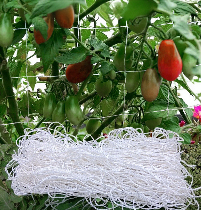 Filet pour plantes grimpantes, filet de treillis en polyester à grandes mailles, adapté aux tomates et aux raisins (4 x 4 pi) - 7