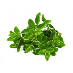 Semi Di Timo Strisciante 2000 Pz - Pianta Aromatica Perenne Per Giardino, Balcone E Api - Foto 3