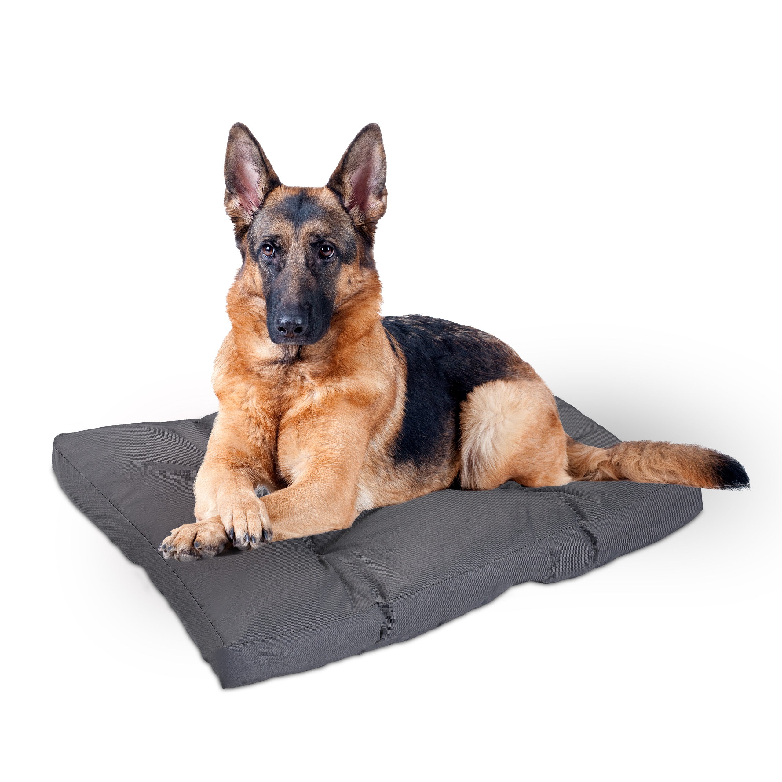 Relaxdays Cama para Perros Grandes, Impermeable, Colchón Mascota