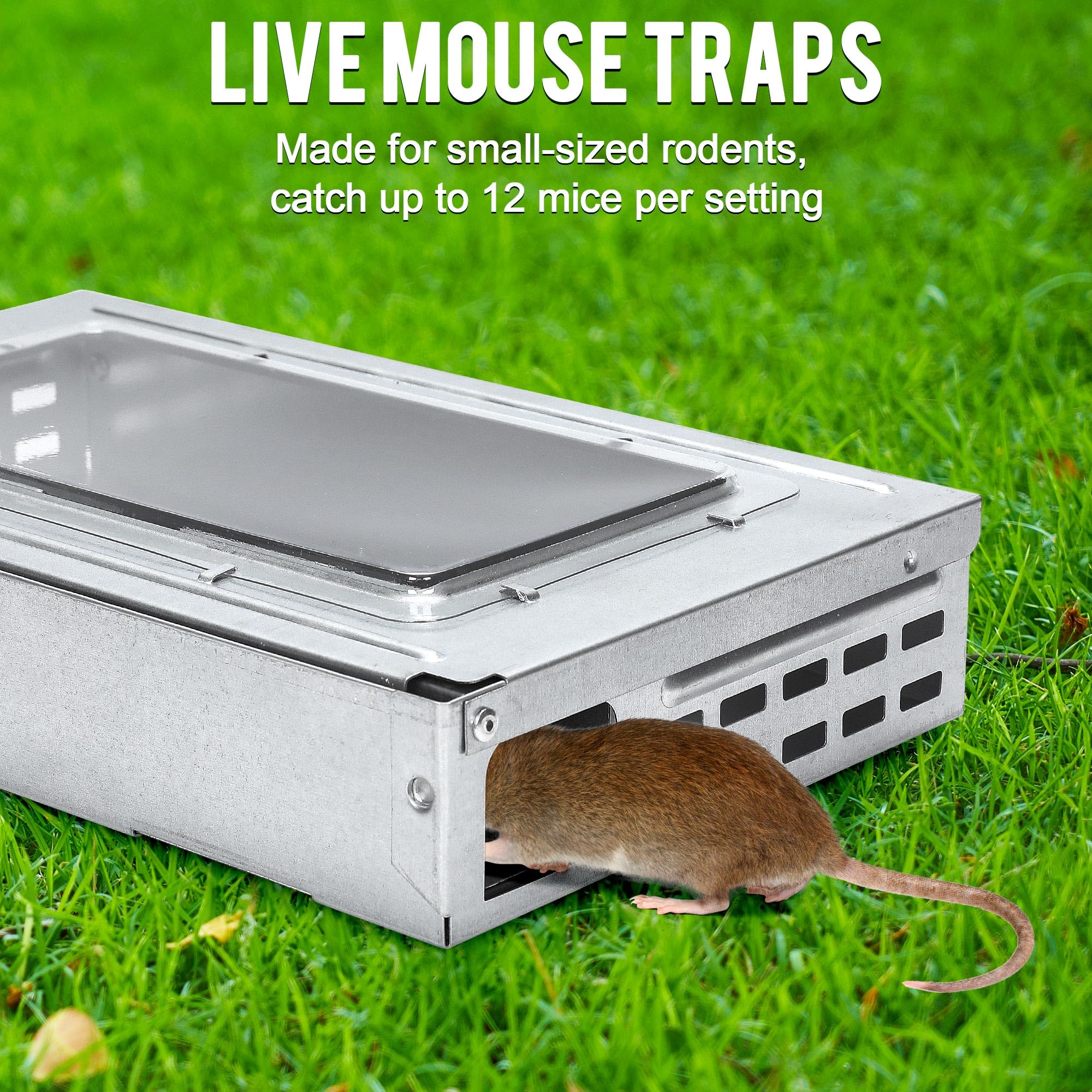 Armadilha de rato humana multi captura, captura e liberação de ratoeira ao vivo, armadilha de rato superior transparente para interior e exterior - 2