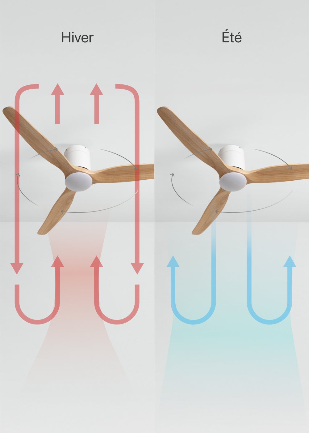 WIND CALM SLIM LIGHT M - Ventilateur de plafond silencieux 40W Ø132 cm 100 % bois avec eclaraige sans wifi - 4