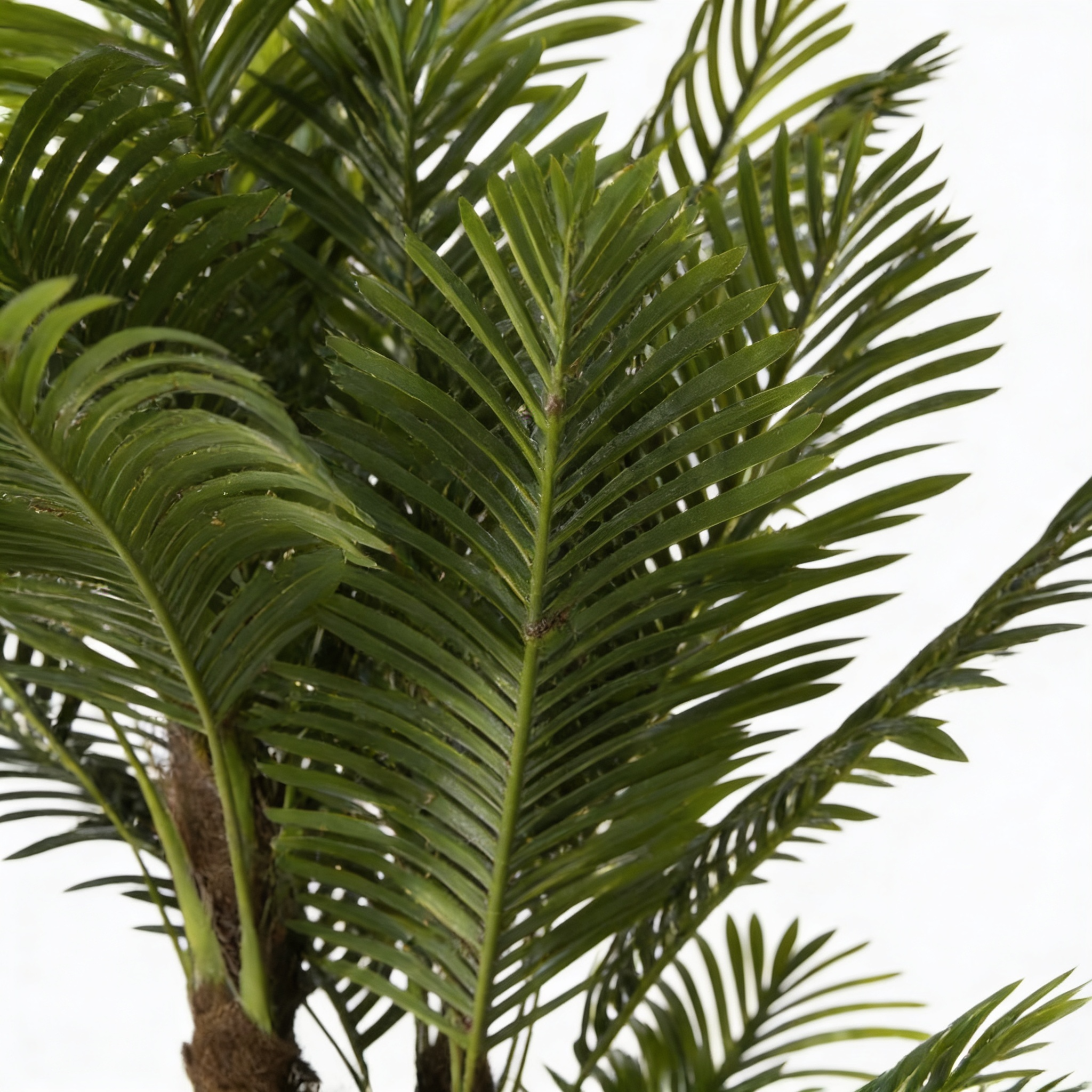 Planta artificial decorativa Palmera de 240 cm en maceta color verde - 3