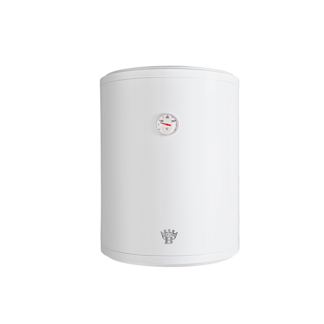 Scaldabagno elettrico verticale BANDINI ECO 80L: prestazioni e risparmio