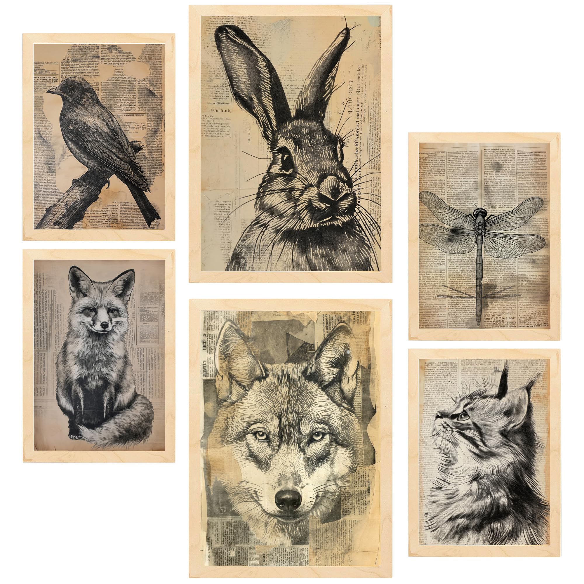 Set de 6 vintage animals. bird, rabbit, dragonfly, fox, wolf, cat cuadros con ilustración de diseño para decorar. tienda. a3 y a4. marco madera clara