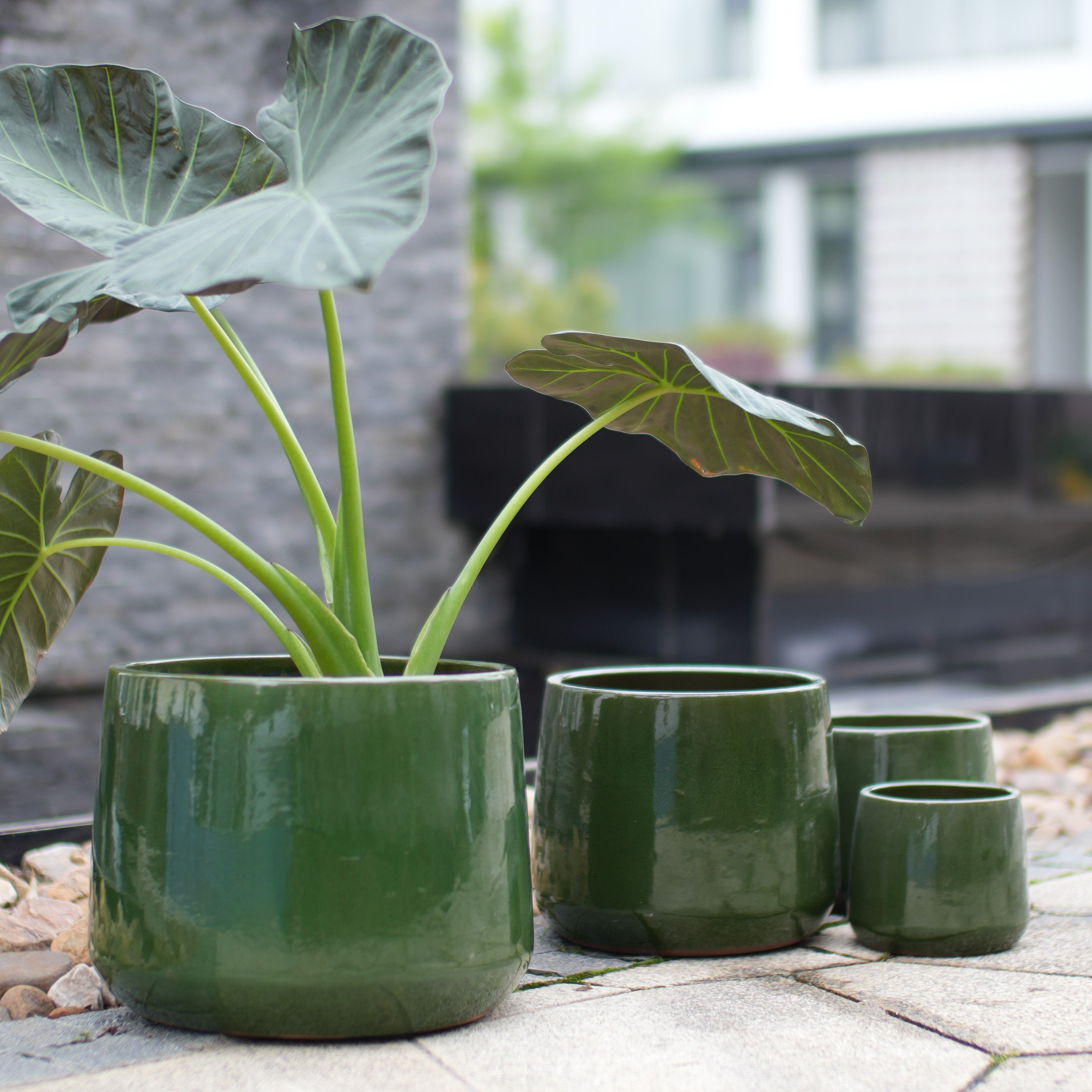 Set de 4 piese, Ghiveci cu glazură chiar lucioasă, respirabil, rezistent la îngheț, cu orificii de drenaj pentru grădină și balcon, Antique Green 4buc