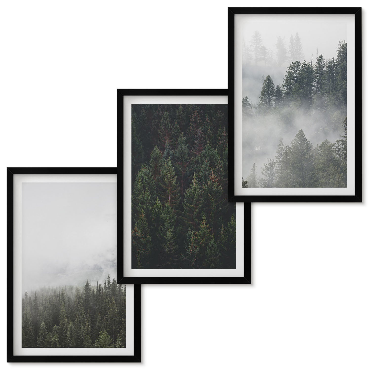 Ensemble de tableaux encadrés - 3 parties | Forêts verdoyantes dans un ...