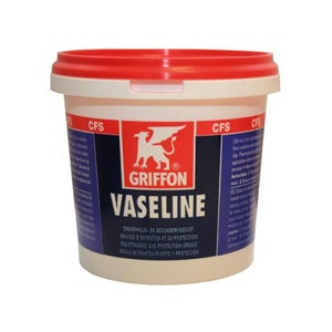 Camp GRASSO VASELINA, Grasso di vaselina tecnica, Purissimo, Incolore e inodore, Lubrifica e protegge, 1 kg
