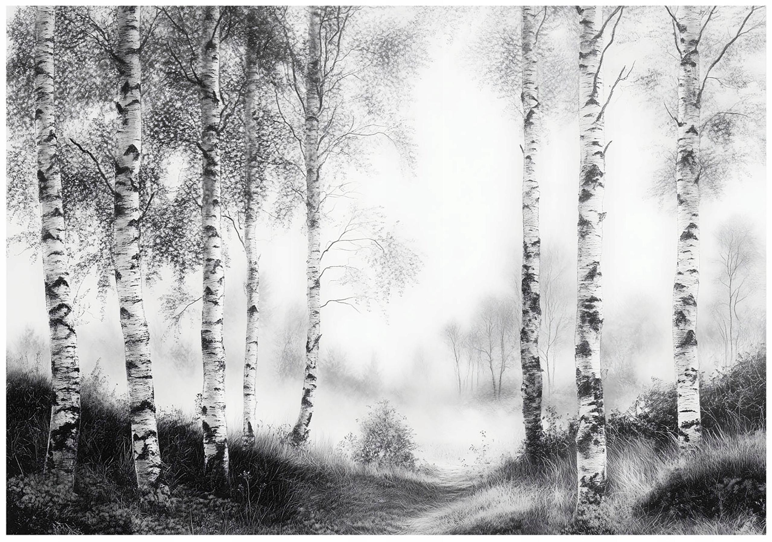 Fototapeta Las Czarno Biały Drzewa Natura 350x250 cm Tapeta Do Sypialni Salonu Kuchni Na Flizelinie