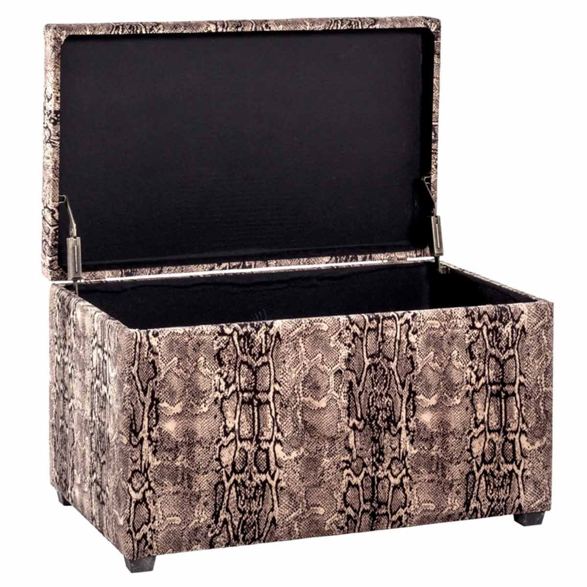 Coffre de Rangement 