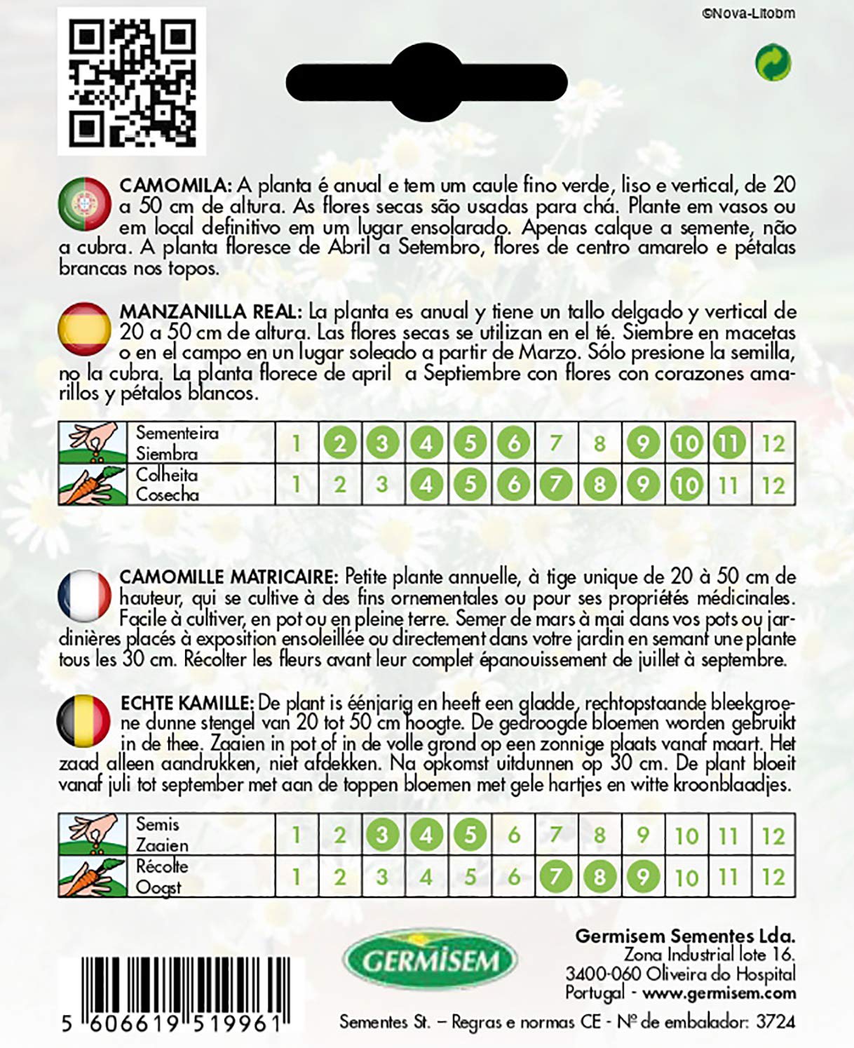 Semi Di Camomilla Matricaria Germisem - Confezione Da 1g Per Giardinaggio Domestico - Foto 5