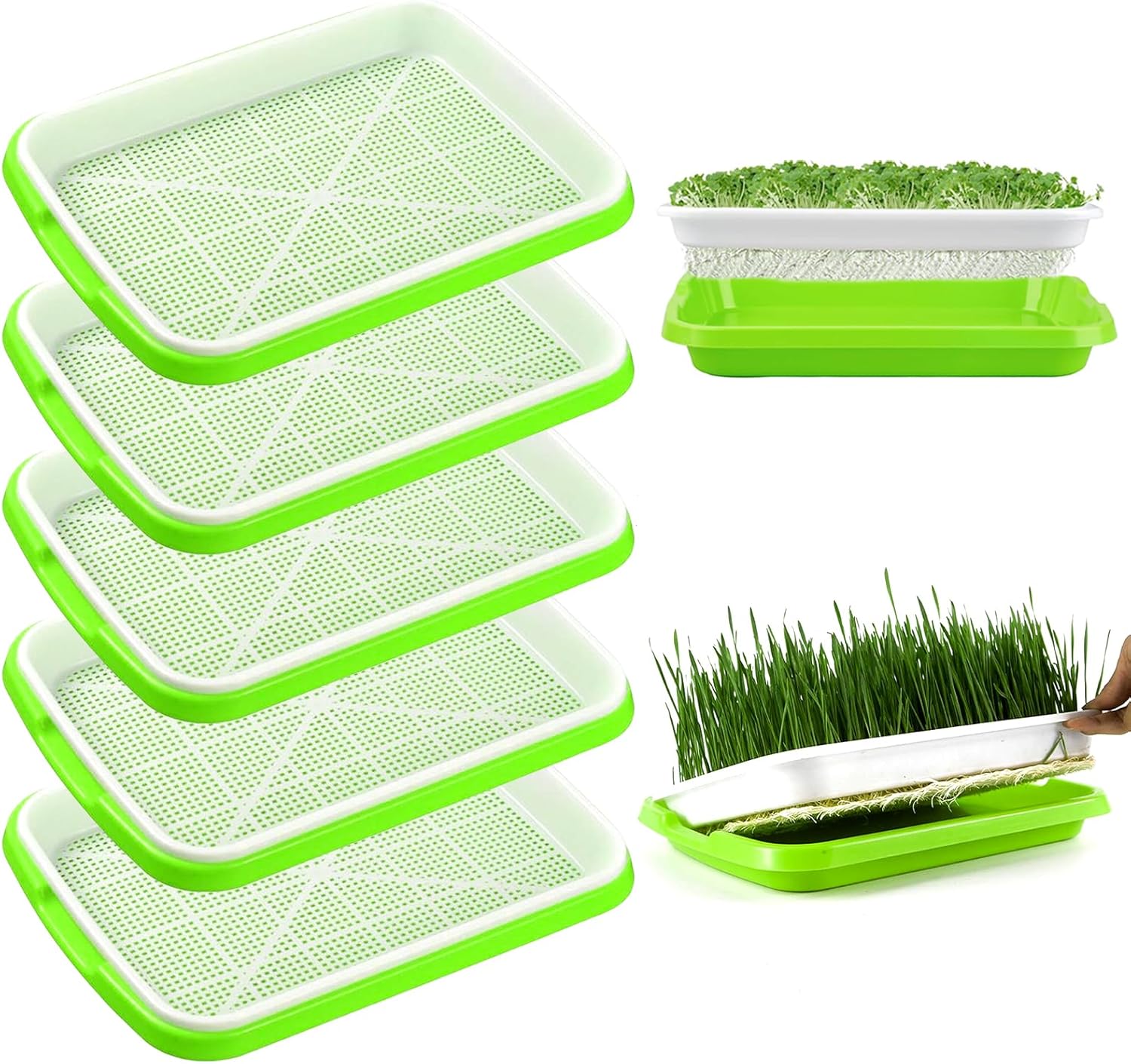 Germoir Pour Graines à Germer, 6pcs Plateaux De Germination De Graines Des Semences Bacs A Semis Avec Etagere En Plastique Extra Solide Germinateur Pots Kitseed Trays 84486712