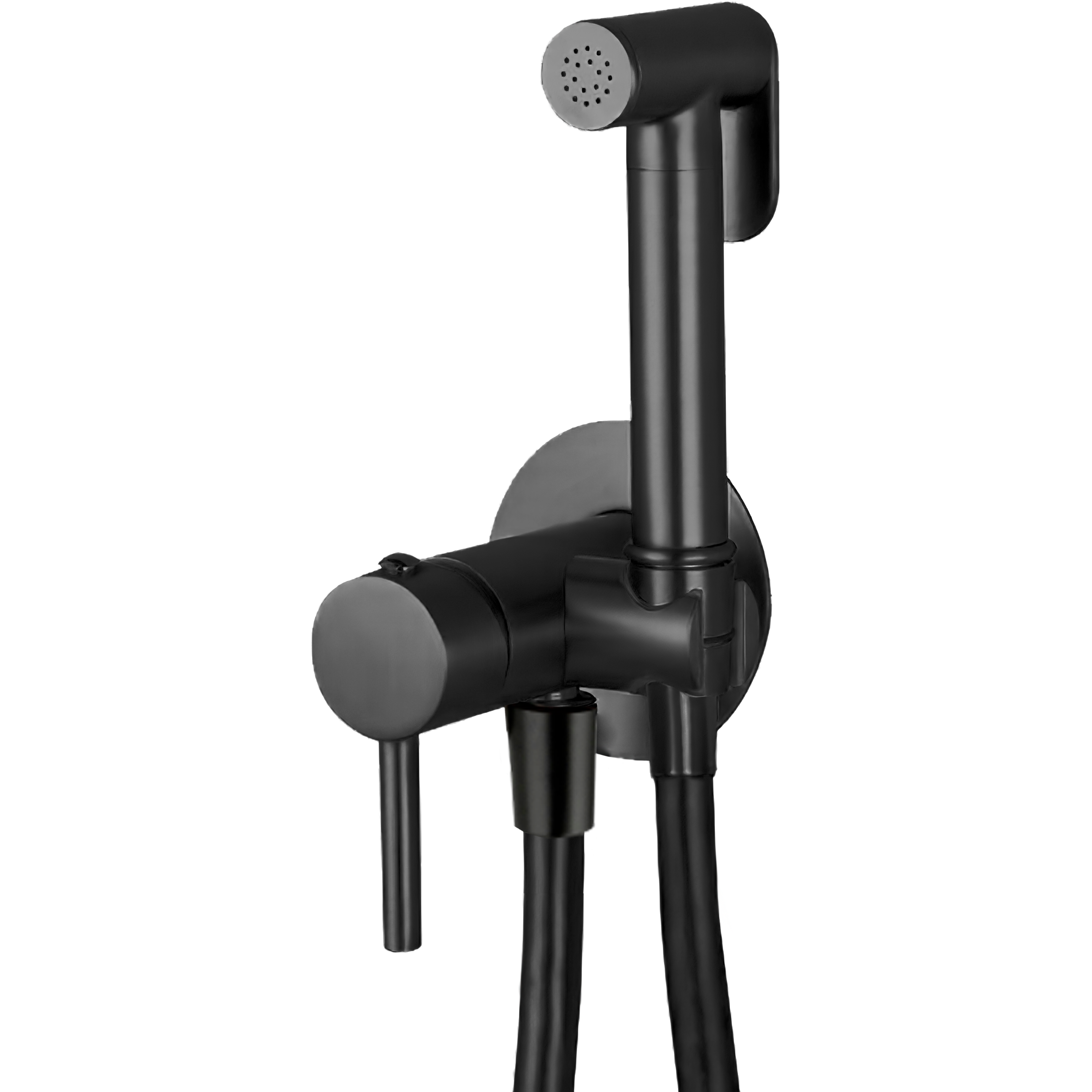 Ducha Higienica Leroy Leroy Merlin Grifo Bide Ducha Higienica VÃ