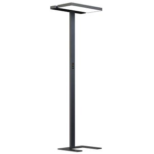 Arcchio Lampada da terra per ufficio Tamilo, bianco, metallo, 194 cm, Lampada da ufficio, lampada per postazione di lavoro, piantana, lampada da | Leroy Merlin