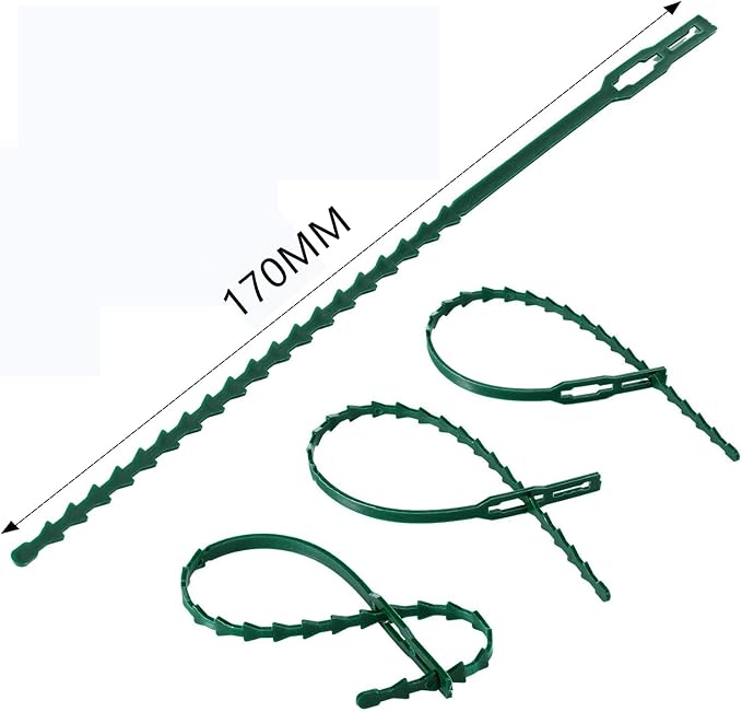 100 pces uteurs pour 17cm plantes attache plante Plante Clips,plastique, pinces Soutient les tomates, les poivrons - 2