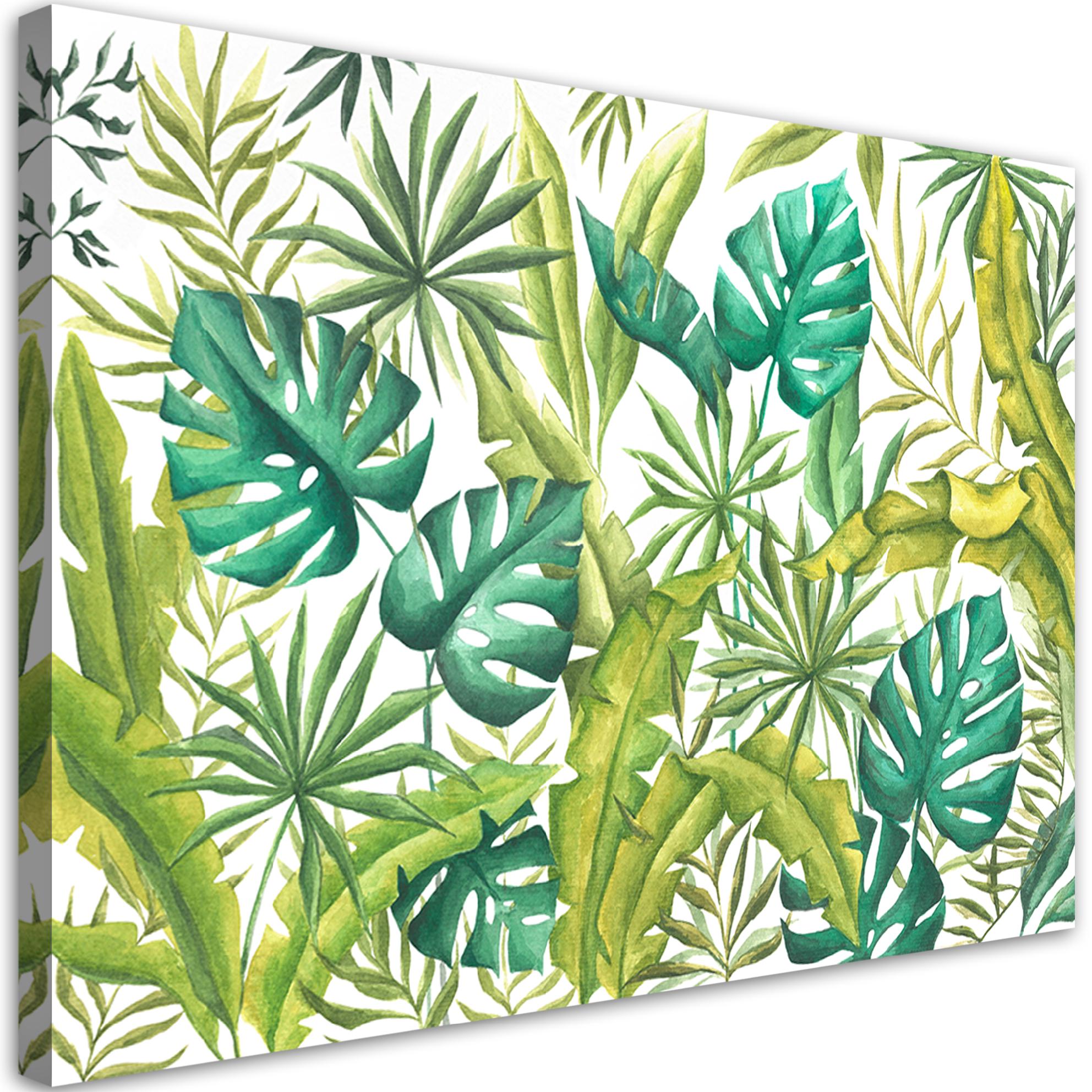 Obraz na płótnie, Liście Monstera 100x70