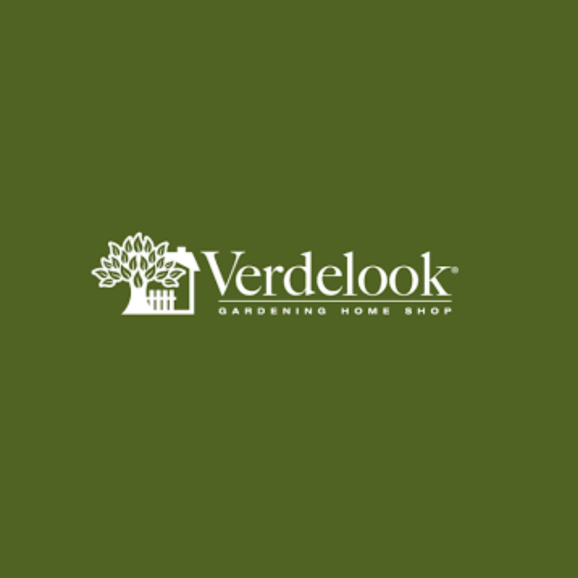 VERDELOOK | Cesto Portafunghi in Vimini con Coperchio e Tracolla, 33x23x35 cm, Cesta in Vimini per Funghi - 4