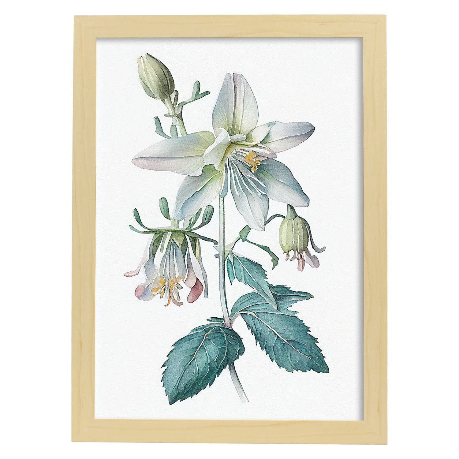 Nacnic poster de aquilegia estilo nórdico ilustraciones de botánica con flores y plantas en acuarela y modelo 1 a3 con marco de madera clara