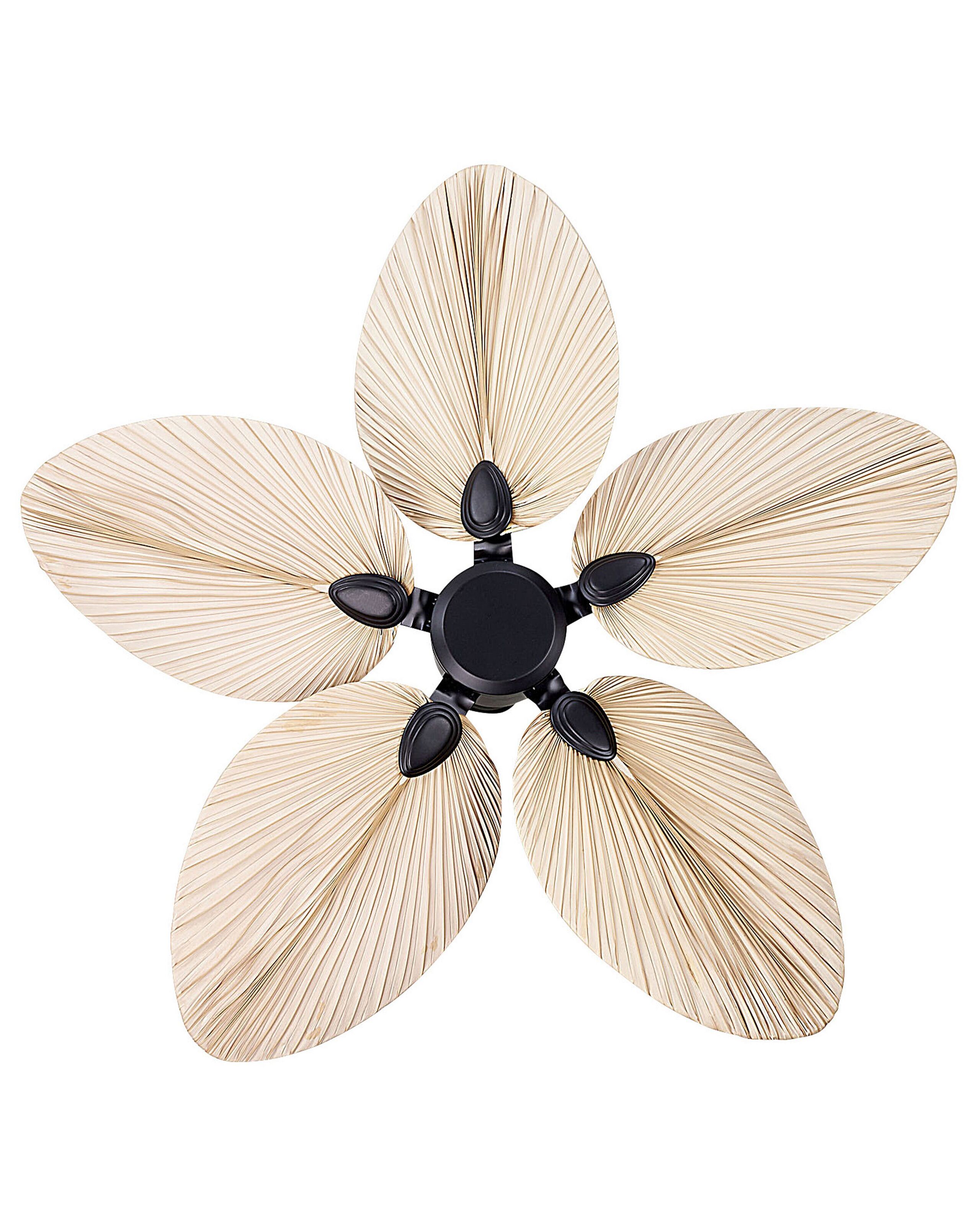 Ventilateur de plafond MAMMOTH Marron - 4