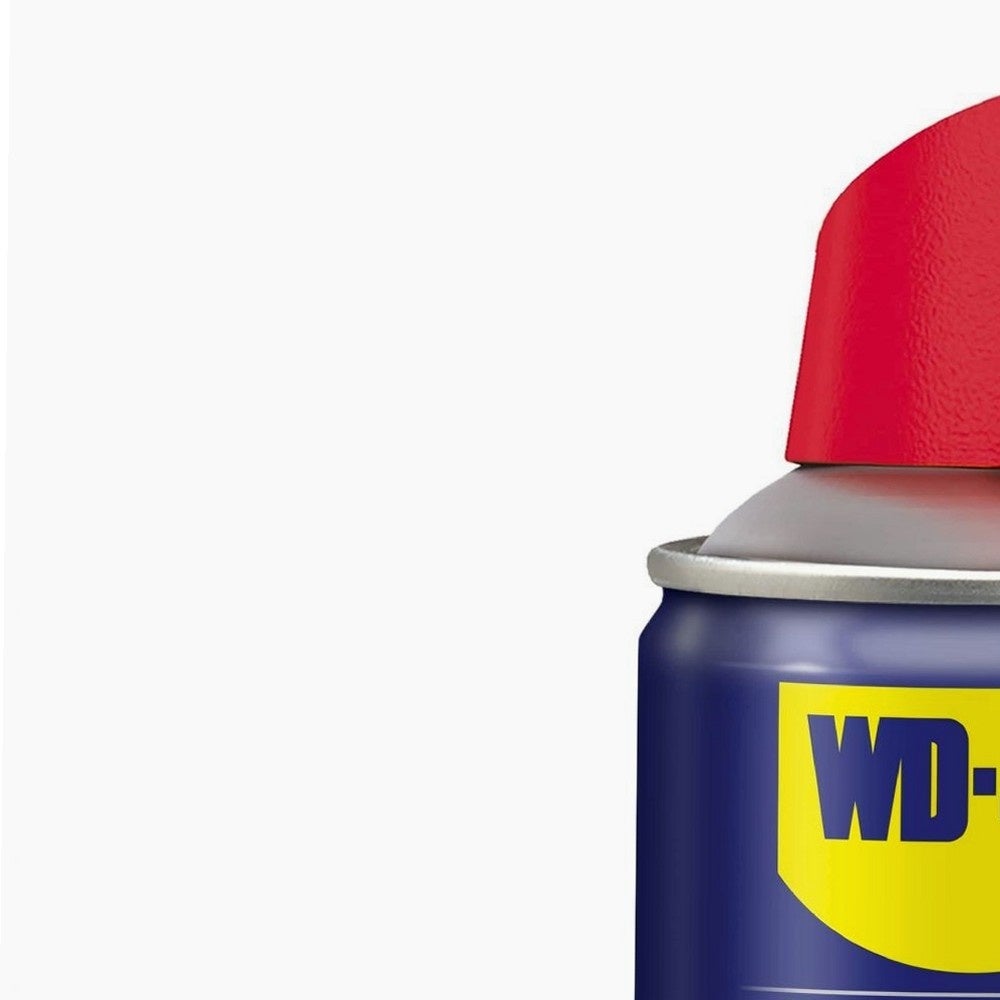 Bomboletta di grasso al litio WD40 250ml - 6
