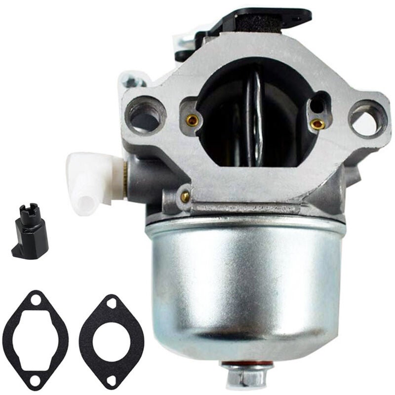 699831 Carburateur pour moteurs de tondeuse à gazon Briggs & Stratton ...