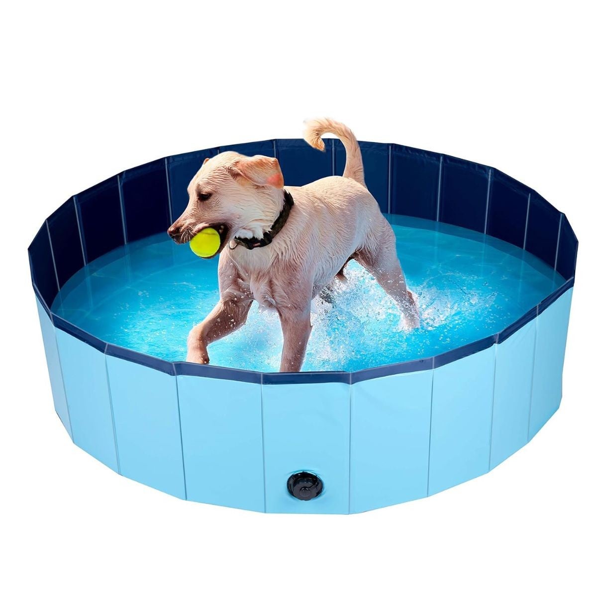 170 Cm Extra Large Rond Dauphin Piscine Chien Et Jeux D'eau Enfant Extérieur,Épais Tapis De