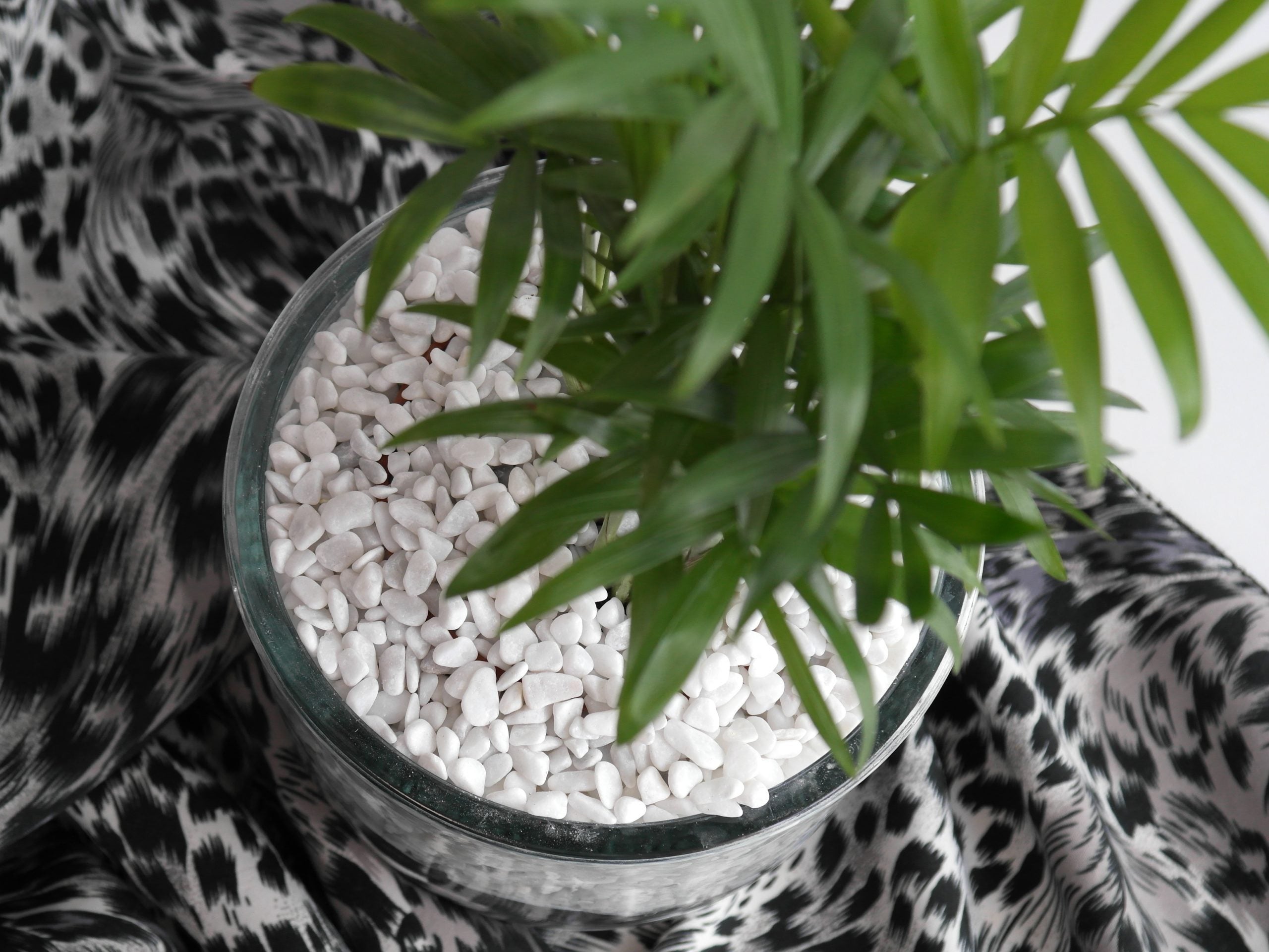 Galet roulé blanc Carrare 4/8 en sac de 5 L - 3