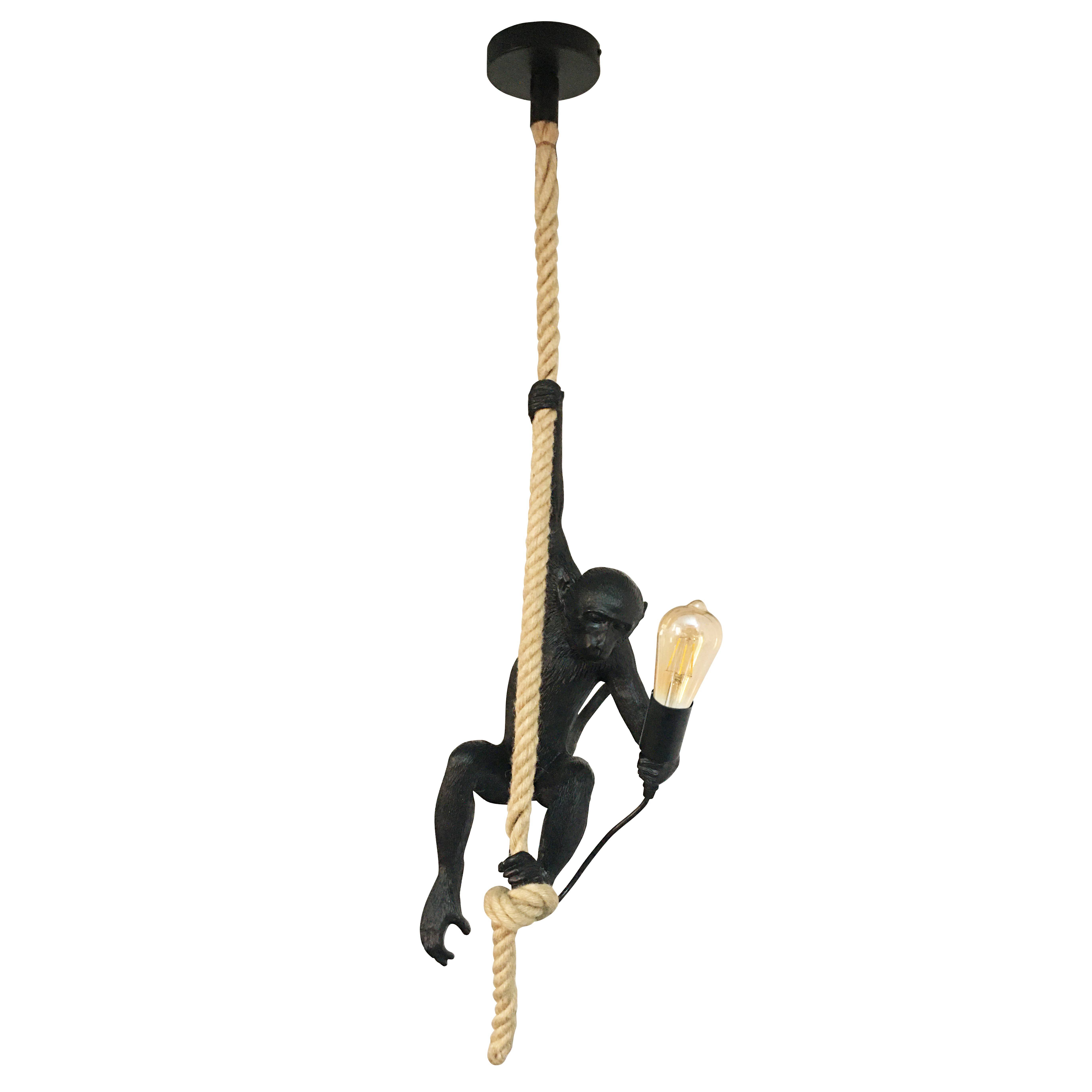 Suspension design singe en résine 