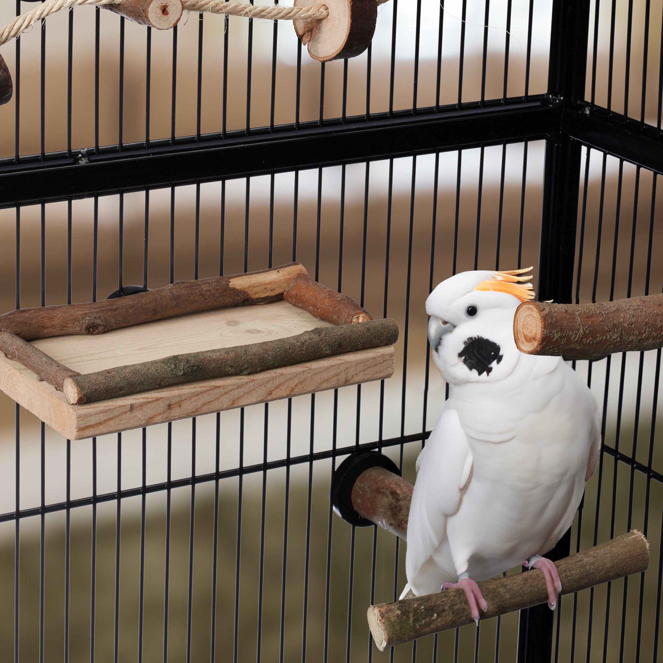 Lote De 100 Piezas Juguetes De Madera Para Aves - Virutas Coloridas Para Loros Y Periquitos, Material Seguro Para Masticar
