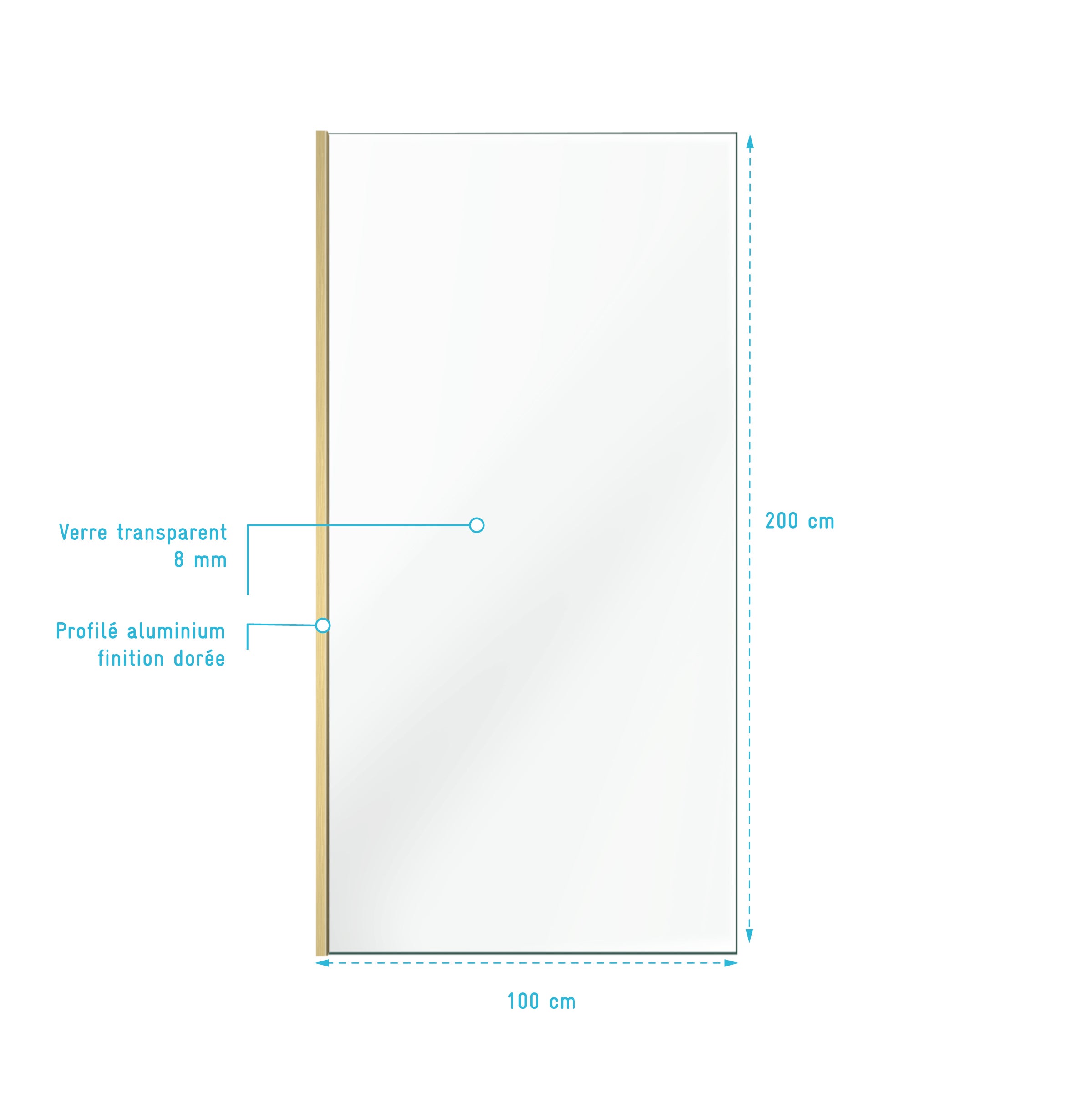 Paroi de douche à l'italienne 100x200 cm verre trempé 8 mm - Or Doré Brossé - FREEDOM 2 GOLD - 4