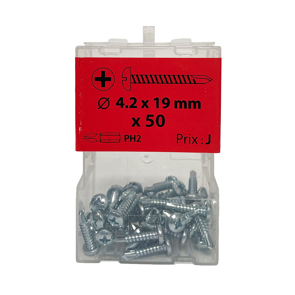 SKIR’CO Lot De 50 Vis Autoperceuses 3,9 X 22 Mm – Tête Cylindrique Bombée – DIN 7504 – Zinguées – Avec Embout