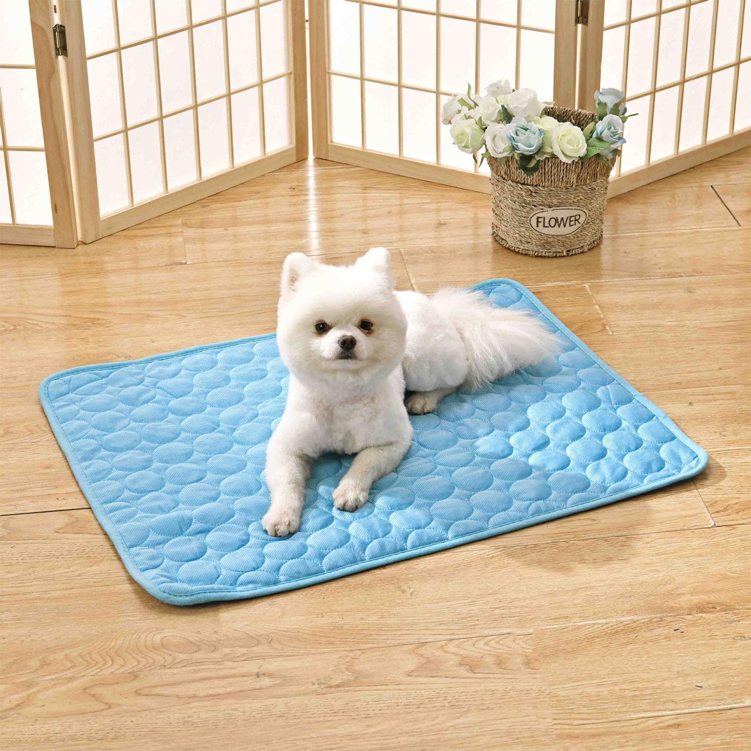 Tapis rafraîchissant pour chien, tapis rafraîchissant pour animaux de compagnie, tapis de glace, pour chats et chiens, 62 x 50 cm, bleu - 5