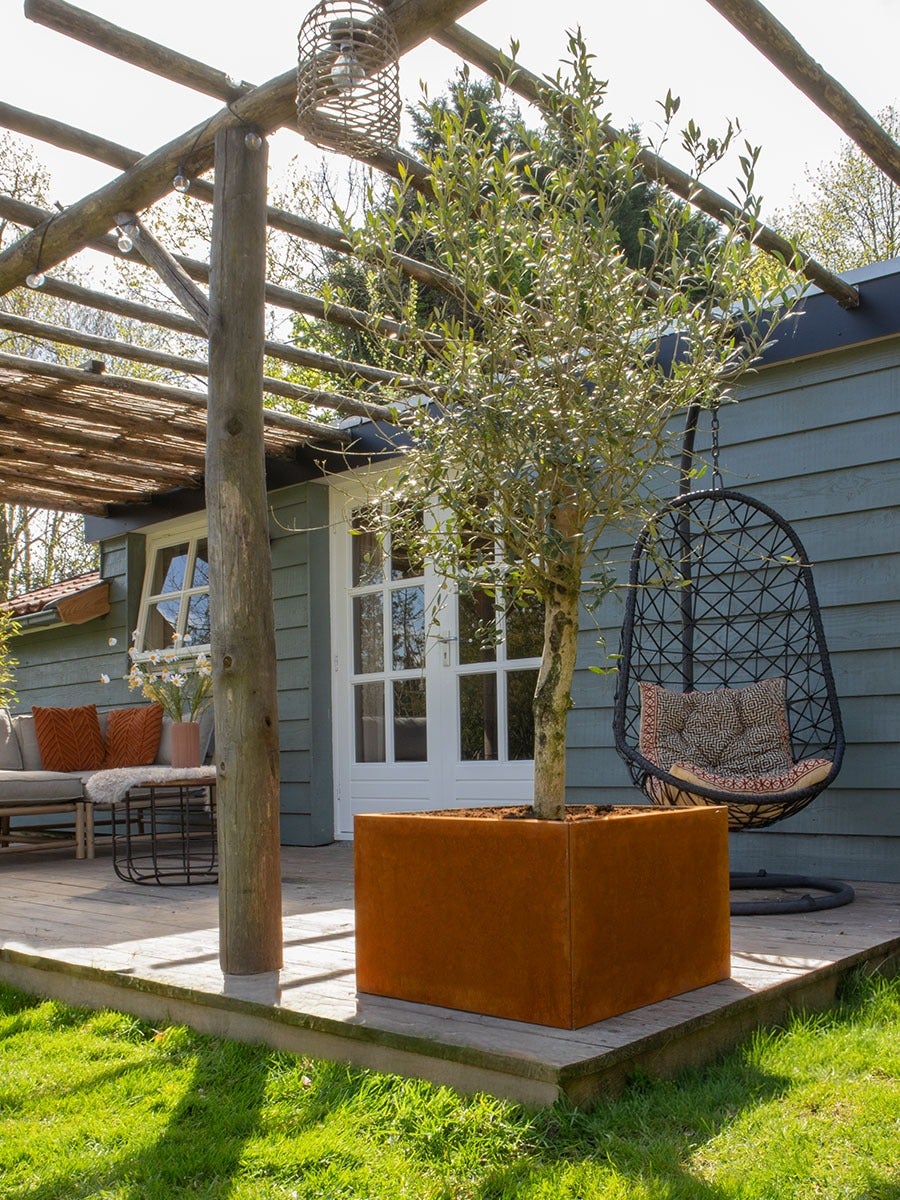 Acier Corten Jardinière Carré pour le jardin | (60x60x40cm) - 3