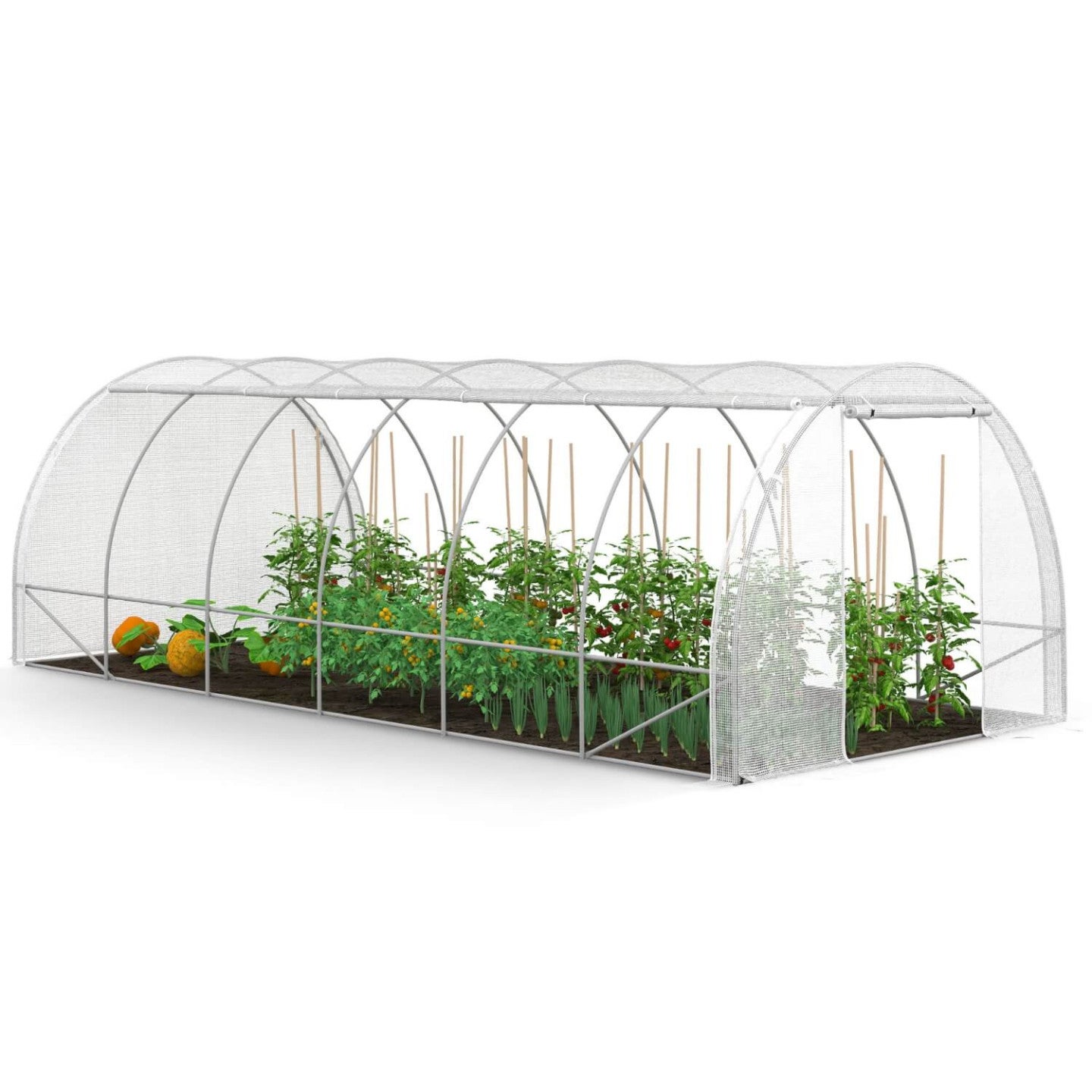 Serre de jardin tunnel 18m² 6 x 3 x 2 m acier galvanisé + bâche anti-UV avec porte et fenêtres CRIMÉE blanche toutes saisons - 2