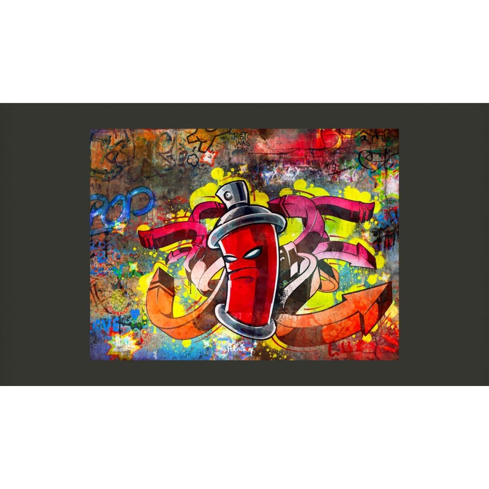 Papier peint monstre de graffiti - 300 x 230 cm - 2