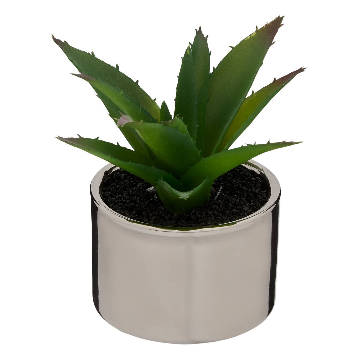 Plante Verte Pot Céramique H.15 Multicolore - Atmosphera Créateur d'intérieur - 4
