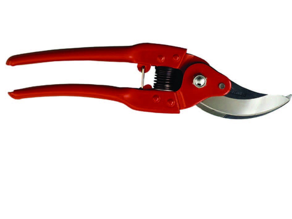 Forbice per potare pradines p 110 - 7